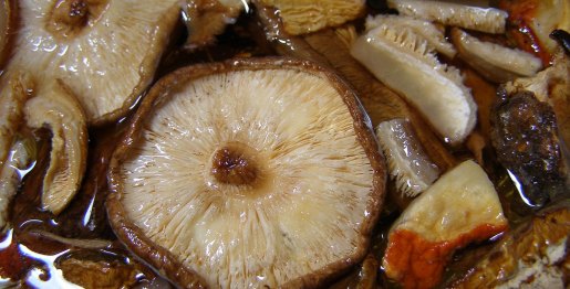 recept